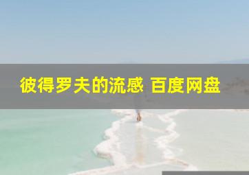 彼得罗夫的流感 百度网盘